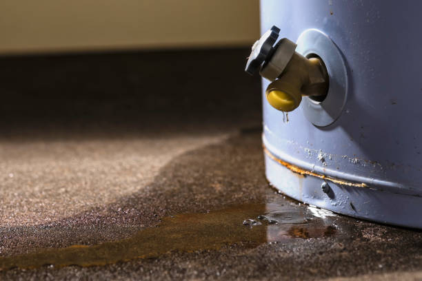 Best Water damage mitigation services  in Gorevle, IL
