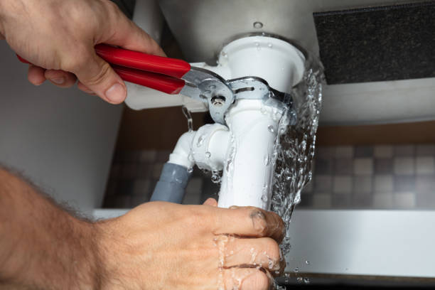 Best Flood restoration services  in Gorevle, IL