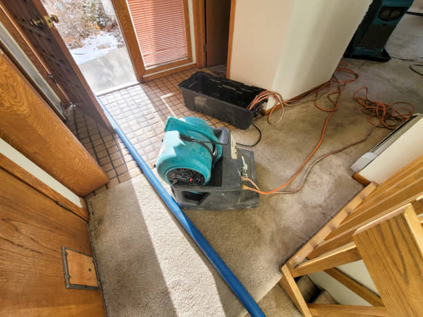 Best Water damage restoration near me  in Gorevle, IL