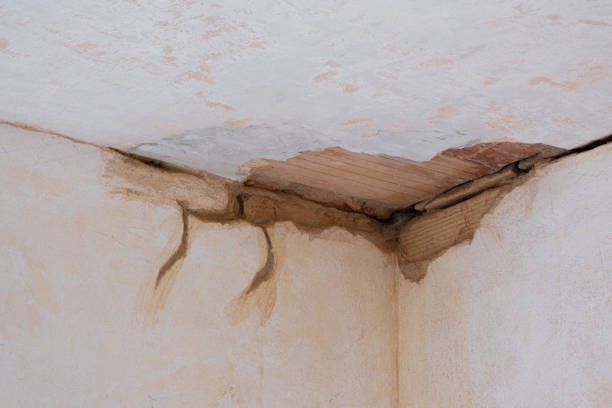 Best Fire Damage Restoration  in Gorevle, IL
