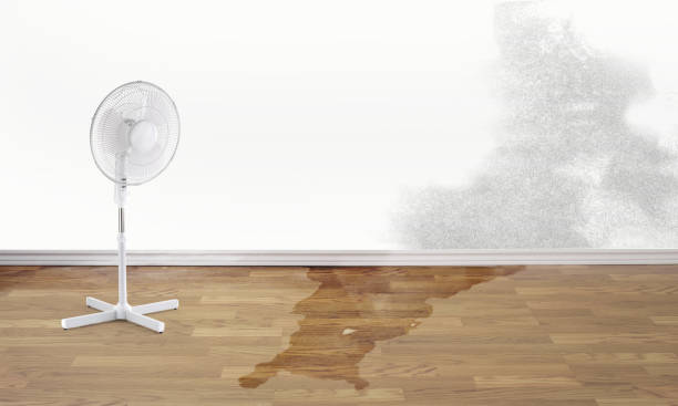  Gorevle, IL Water damage restoration Pros