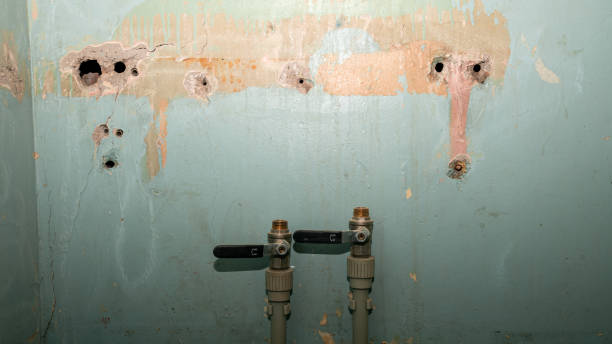 Best Ceiling water damage repair  in Gorevle, IL