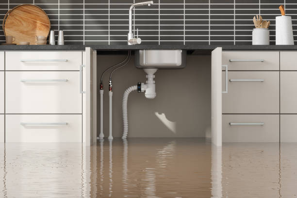 Best Water damage restoration mold remediation  in Gorevle, IL