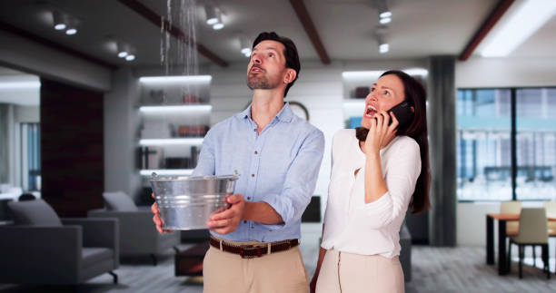 Best Fire Damage Restoration  in Gorevle, IL